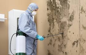 Best HVAC Mold Inspection and Cleaning  in Brookhaven, MS